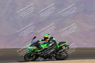 media/Dec-17-2022-SoCal Trackdays (Sat) [[224abd9271]]/Turn 12 Inside Distant (1025am)/